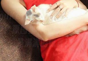 QingDouKe青豆客 – 当雨婷goddess遇上镂空：原图里有一丝神秘，套图里则是满满的惊喜！