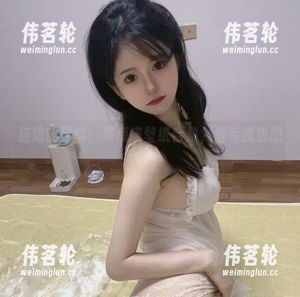 倦倦喵 猫娘的日常:倦倦喵壁纸合集,看完我也想睡!