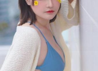 千夜未来的猫：在线资源，光影间藏着多少小秘密