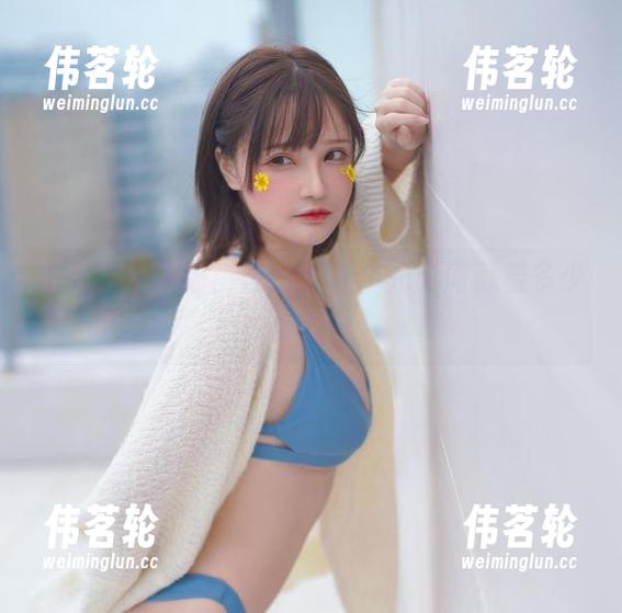千夜未来的猫：在线资源，光影间藏着多少小秘密